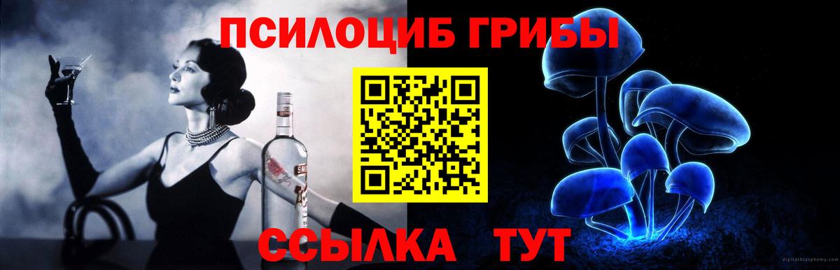 Галлюциногенные грибы Cubensis Калач-на-Дону